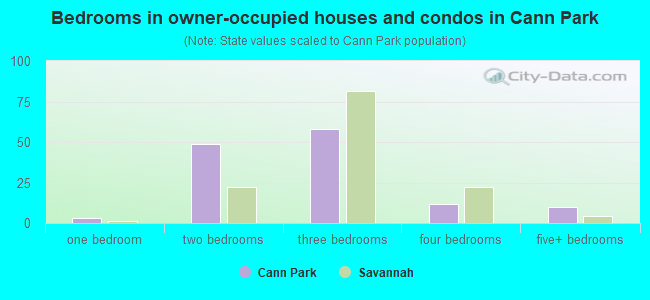Bedrooms in owner-occupied houses and condos in Cann Park
