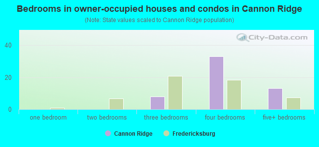 Bedrooms in owner-occupied houses and condos in Cannon Ridge