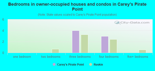 Bedrooms in owner-occupied houses and condos in Carey's Pirate Point