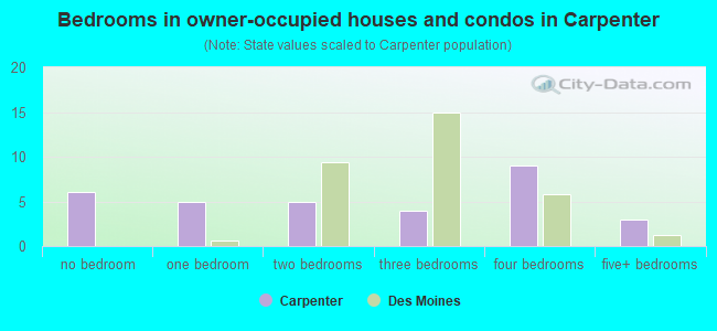 Bedrooms in owner-occupied houses and condos in Carpenter