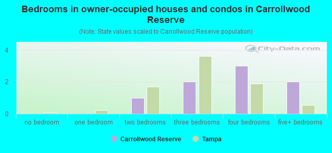 Bedrooms in owner-occupied houses and condos in Carrollwood Reserve
