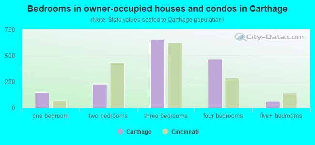 Bedrooms in owner-occupied houses and condos in Carthage