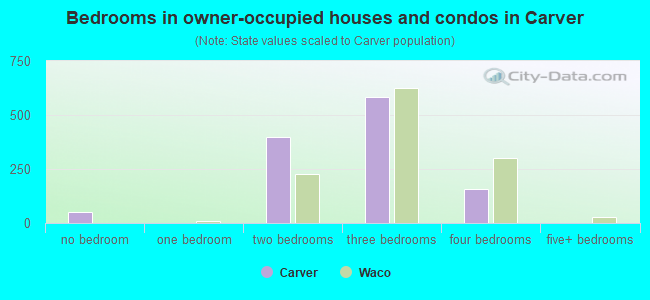Bedrooms in owner-occupied houses and condos in Carver