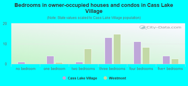 Bedrooms in owner-occupied houses and condos in Cass Lake Village