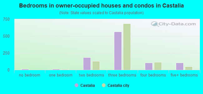 Bedrooms in owner-occupied houses and condos in Castalia