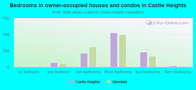 Bedrooms in owner-occupied houses and condos in Castle Heights