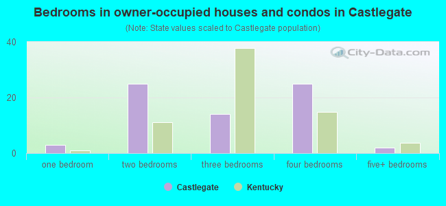 Bedrooms in owner-occupied houses and condos in Castlegate