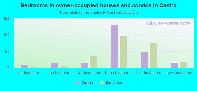 Bedrooms in owner-occupied houses and condos in Castro