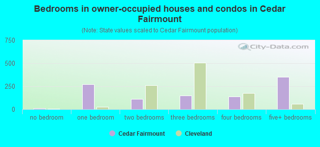 Bedrooms in owner-occupied houses and condos in Cedar Fairmount