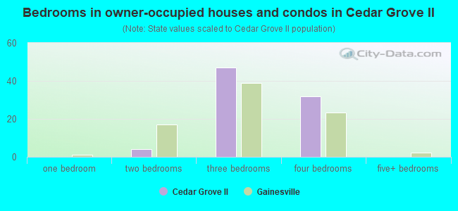 Bedrooms in owner-occupied houses and condos in Cedar Grove II
