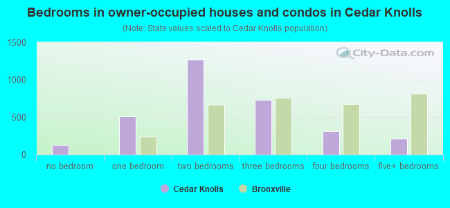 Bedrooms in owner-occupied houses and condos in Cedar Knolls