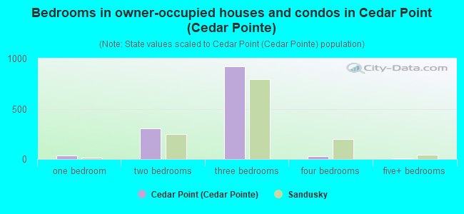 Bedrooms in owner-occupied houses and condos in Cedar Point (Cedar Pointe)