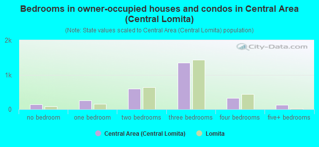 Bedrooms in owner-occupied houses and condos in Central Area (Central Lomita)