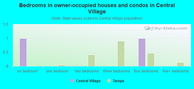 Bedrooms in owner-occupied houses and condos in Central Village