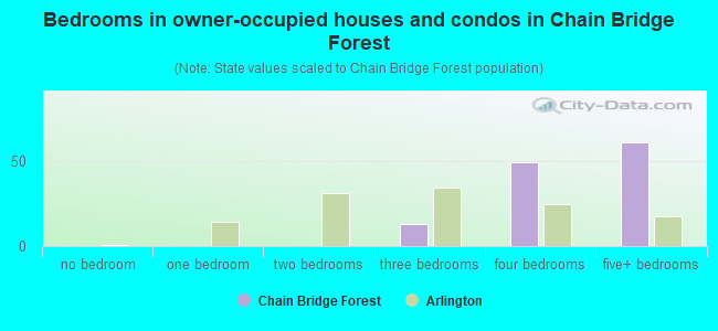 Bedrooms in owner-occupied houses and condos in Chain Bridge Forest