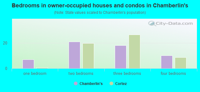 Bedrooms in owner-occupied houses and condos in Chamberlin's