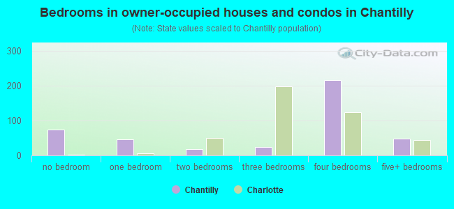 Bedrooms in owner-occupied houses and condos in Chantilly