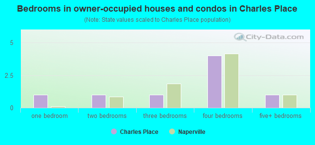 Bedrooms in owner-occupied houses and condos in Charles Place