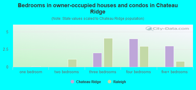 Bedrooms in owner-occupied houses and condos in Chateau Ridge