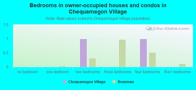 Bedrooms in owner-occupied houses and condos in Chequamegon Village
