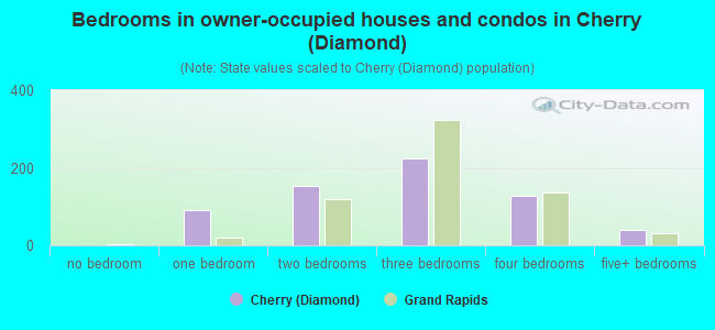 Bedrooms in owner-occupied houses and condos in Cherry (Diamond)