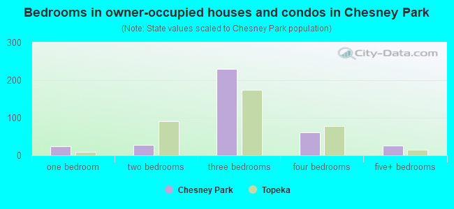Bedrooms in owner-occupied houses and condos in Chesney Park