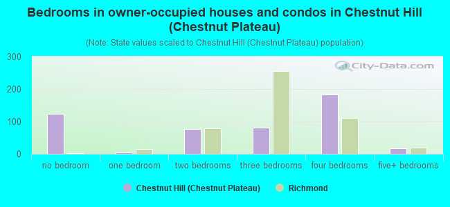 Bedrooms in owner-occupied houses and condos in Chestnut Hill (Chestnut Plateau)