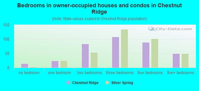 Bedrooms in owner-occupied houses and condos in Chestnut Ridge