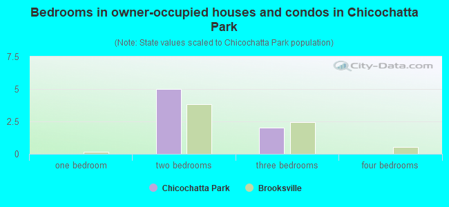 Bedrooms in owner-occupied houses and condos in Chicochatta Park