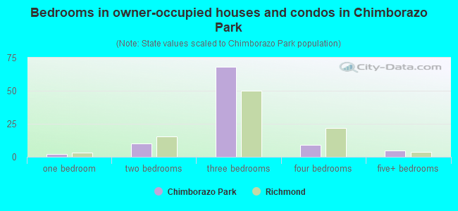 Bedrooms in owner-occupied houses and condos in Chimborazo Park