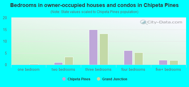 Bedrooms in owner-occupied houses and condos in Chipeta Pines