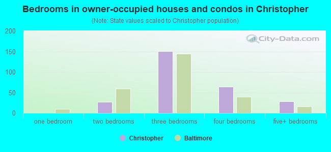 Bedrooms in owner-occupied houses and condos in Christopher