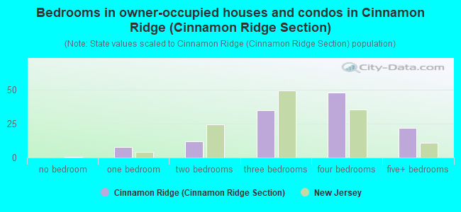 Bedrooms in owner-occupied houses and condos in Cinnamon Ridge (Cinnamon Ridge Section)
