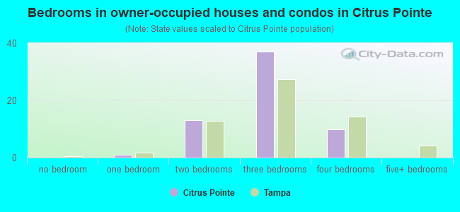 Bedrooms in owner-occupied houses and condos in Citrus Pointe