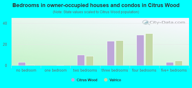 Bedrooms in owner-occupied houses and condos in Citrus Wood