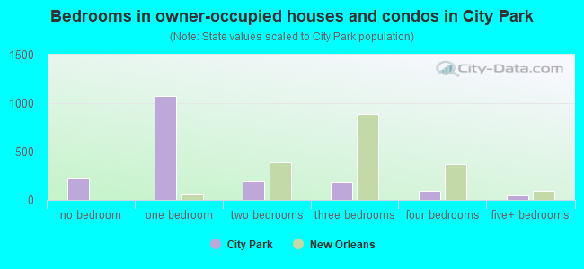 Bedrooms in owner-occupied houses and condos in City Park