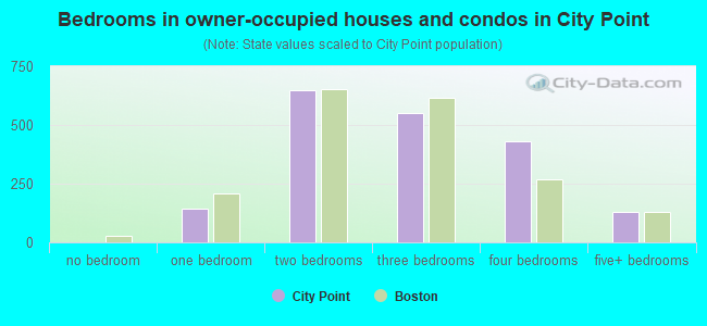 Bedrooms in owner-occupied houses and condos in City Point