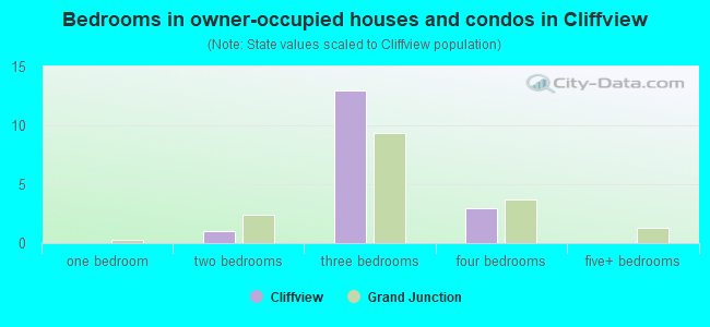 Bedrooms in owner-occupied houses and condos in Cliffview