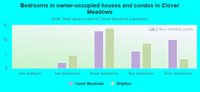 Bedrooms in owner-occupied houses and condos in Clover Meadows