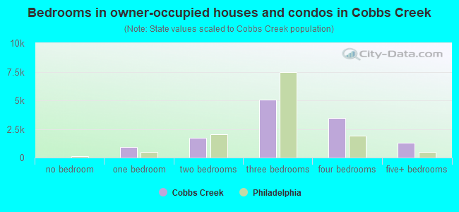 Bedrooms in owner-occupied houses and condos in Cobbs Creek