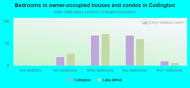 Bedrooms in owner-occupied houses and condos in Codington