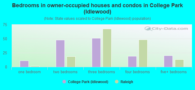 Bedrooms in owner-occupied houses and condos in College Park (Idlewood)