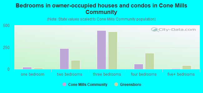Bedrooms in owner-occupied houses and condos in Cone Mills Community