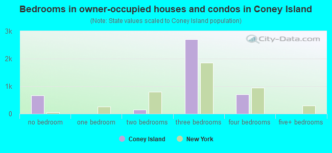 Bedrooms in owner-occupied houses and condos in Coney Island