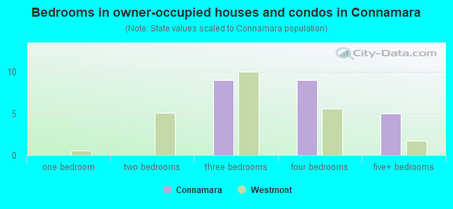 Bedrooms in owner-occupied houses and condos in Connamara