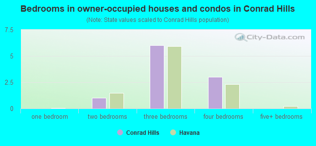 Bedrooms in owner-occupied houses and condos in Conrad Hills