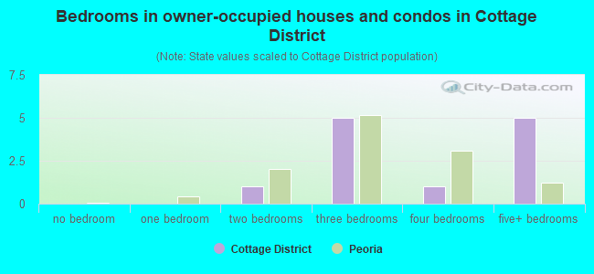 Bedrooms in owner-occupied houses and condos in Cottage District