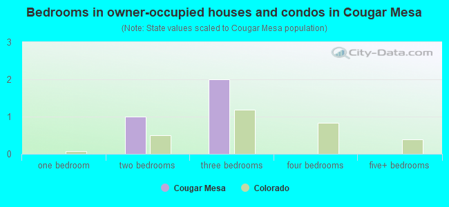Bedrooms in owner-occupied houses and condos in Cougar Mesa