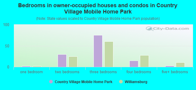 Bedrooms in owner-occupied houses and condos in Country Village Mobile Home Park