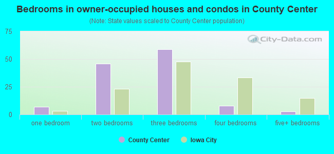 Bedrooms in owner-occupied houses and condos in County Center